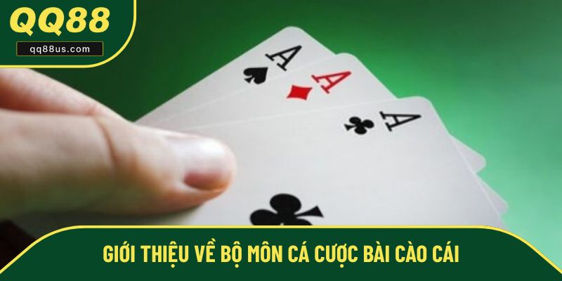 Tổng quan về bài cào cái QQ88 Tổng quan về bài cào cái QQ88