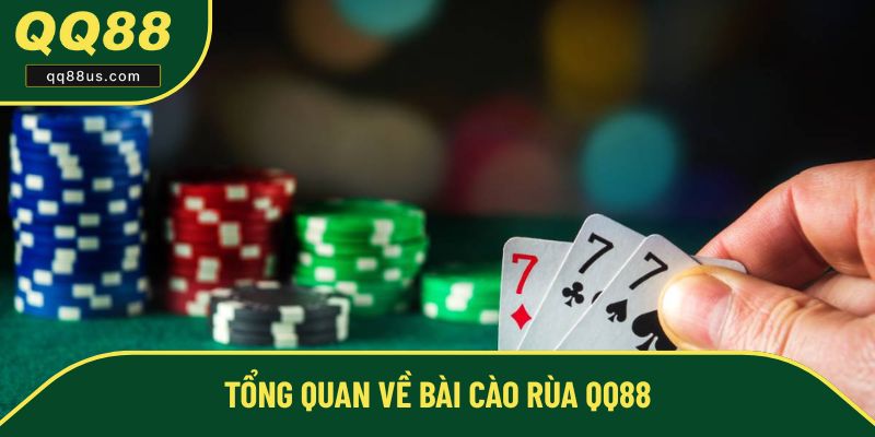 Sơ lược những nét chính về bài cào rùa QQ88 Sơ lược những nét chính về bài cào rùa QQ88