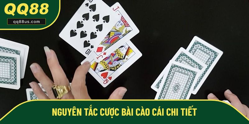 Luật chơi bài cào cái cho người mới Luật chơi bài cào cái cho người mới