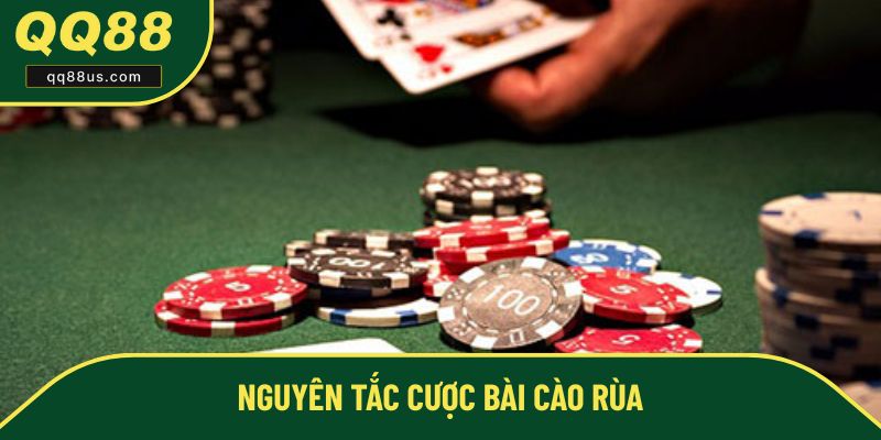 Luật chơi bài cào rùa cho người mới Luật chơi bài cào rùa cho người mới