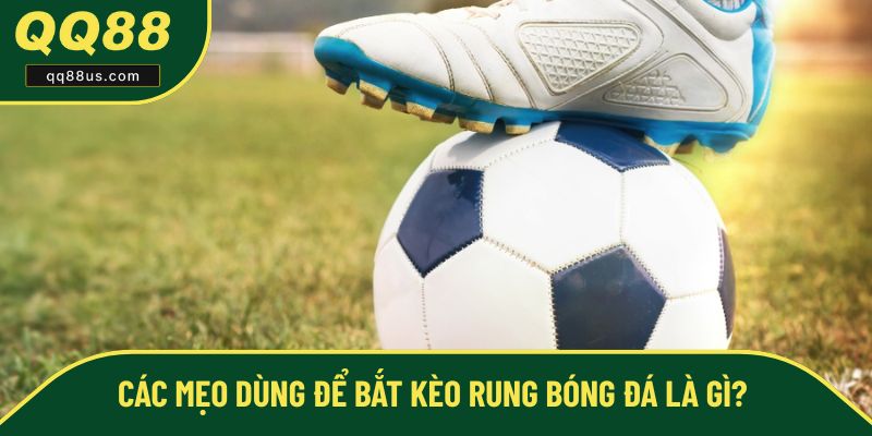Mẹo hay áp dụng khi tham gia kèo rung Mẹo hay áp dụng khi tham gia kèo rung